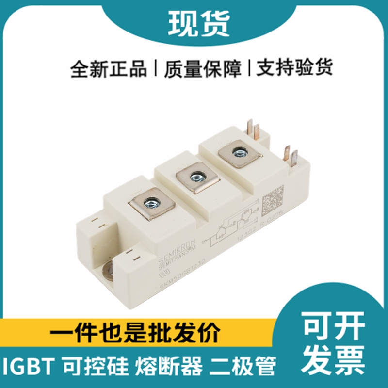 西門康SEMIKRON 功率IGBT模塊 SKM50GB123D