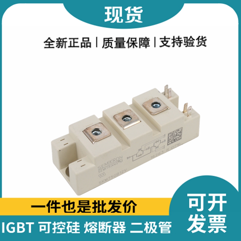 西門康SEMIKRON 功率IGBT模塊 SKM75GB12V