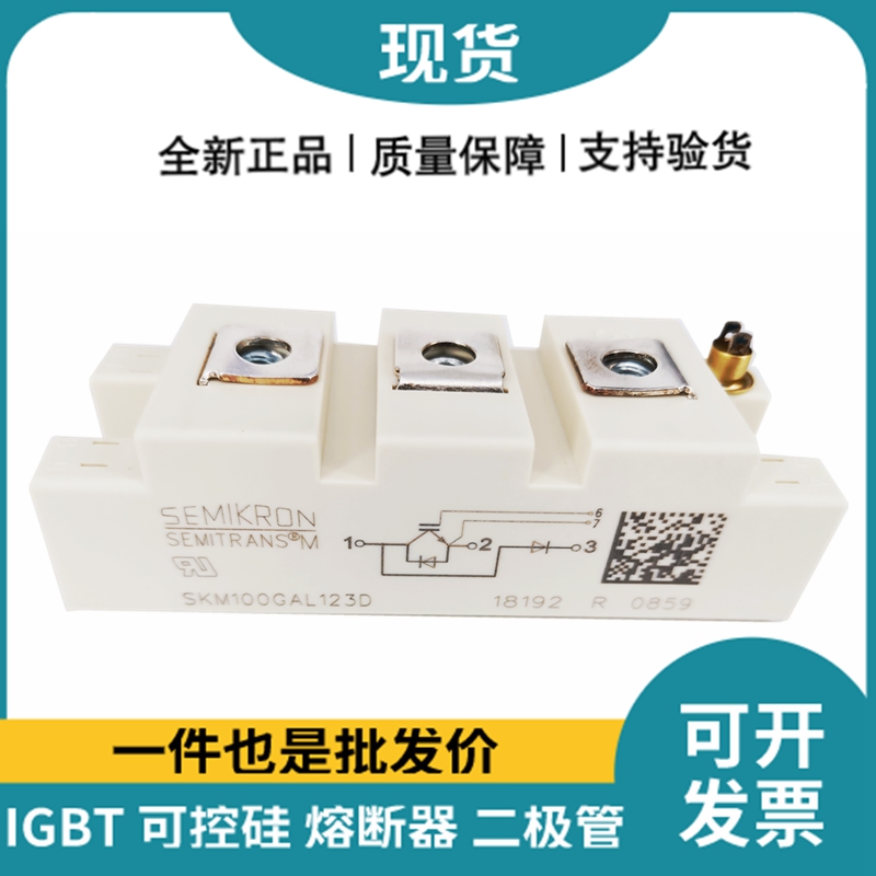 西門康SEMIKRON 功率IGBT模塊 SKM100GAL123D