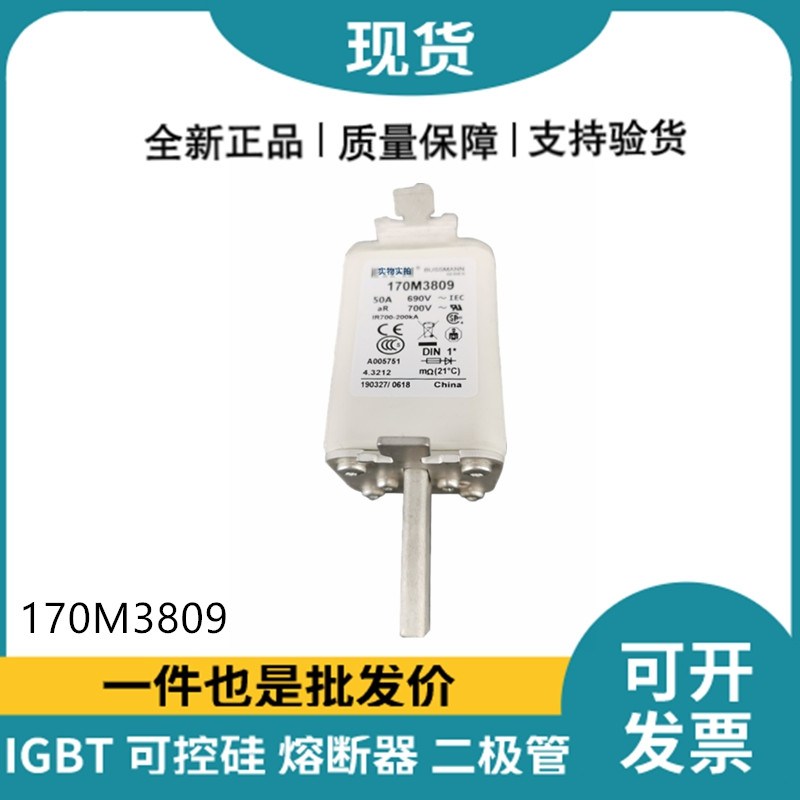 巴斯曼BUSSMANN低壓快速熔斷器 170M3809