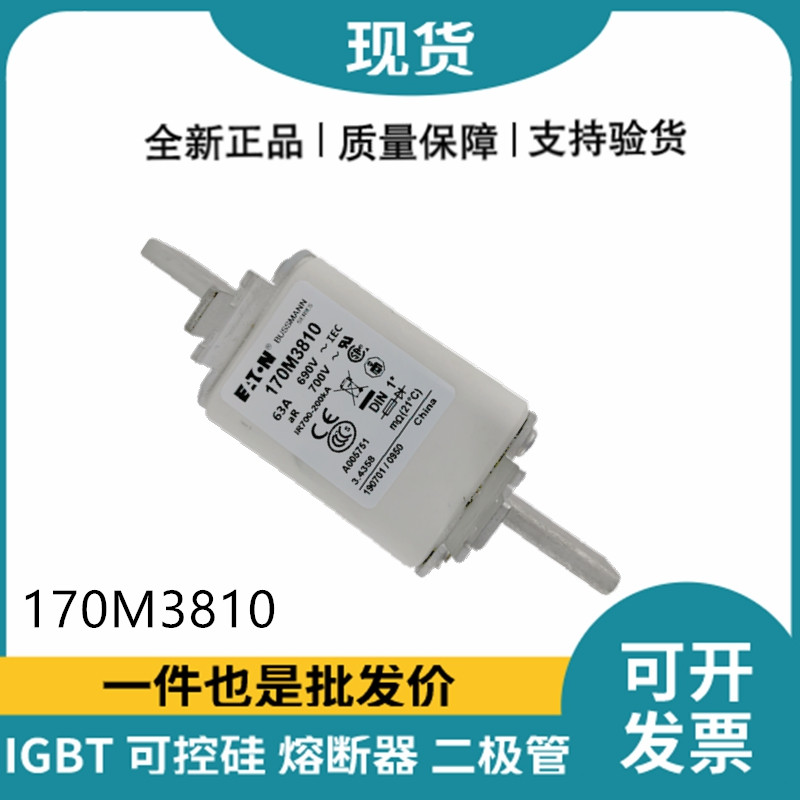 巴斯曼BUSSMANN低壓快速熔斷器 170M3810