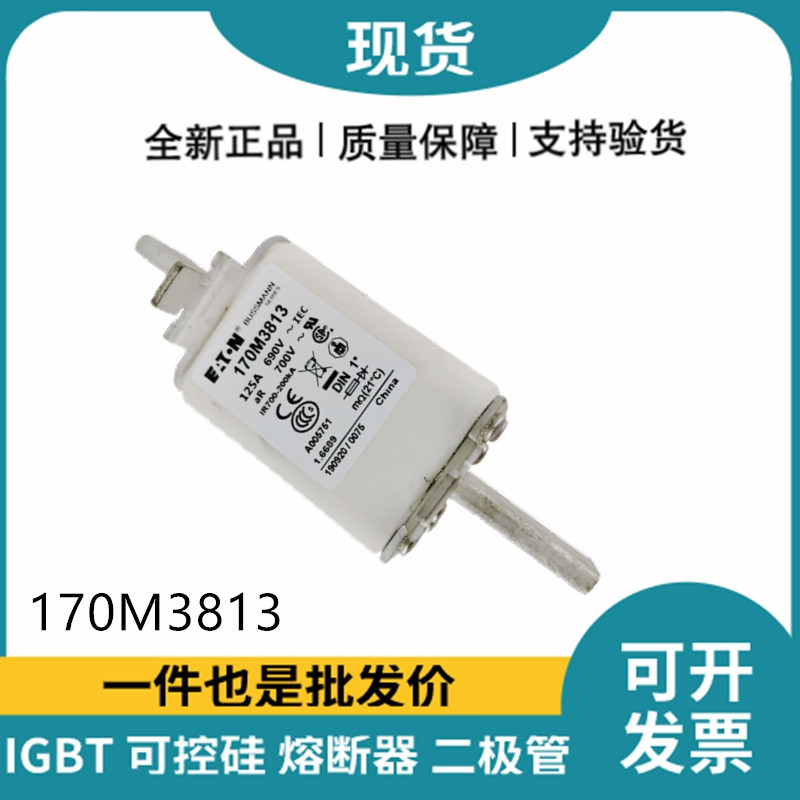 巴斯曼BUSSMANN低壓快速熔斷器 170M3813