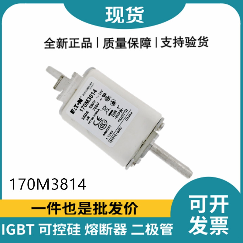 巴斯曼BUSSMANN低壓快速熔斷器 170M3814