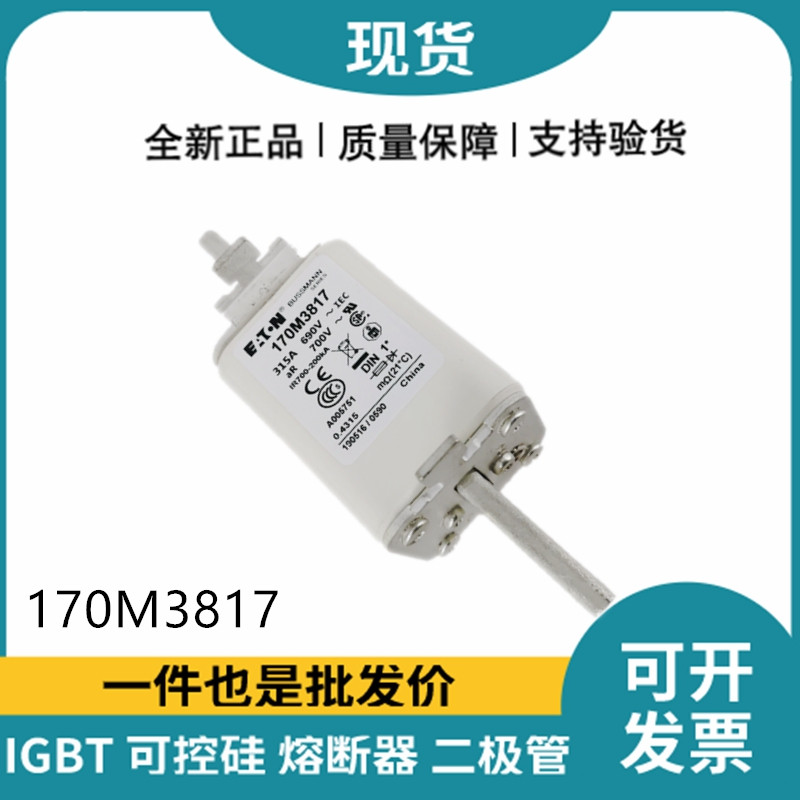 巴斯曼BUSSMANN低壓快速熔斷器 170M3817