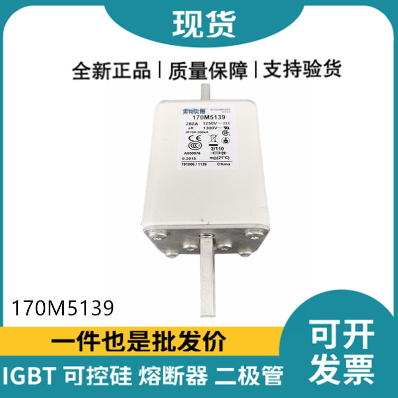 巴斯曼BUSSMANN低壓快速熔斷器 170M5139