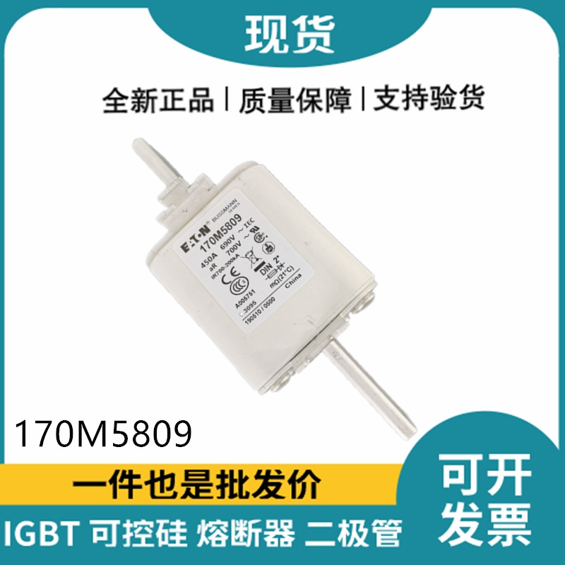 巴斯曼BUSSMANN低壓快速熔斷器 170M5809