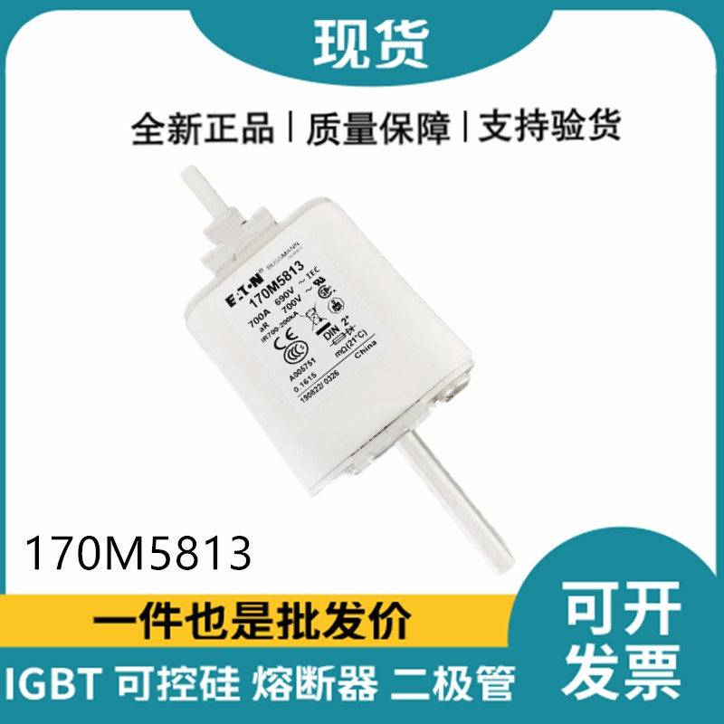 巴斯曼BUSSMANN低壓快速熔斷器 170M5813