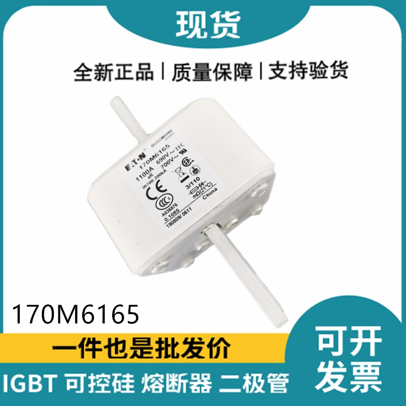 巴斯曼BUSSMANN低壓快速熔斷器 170M6165