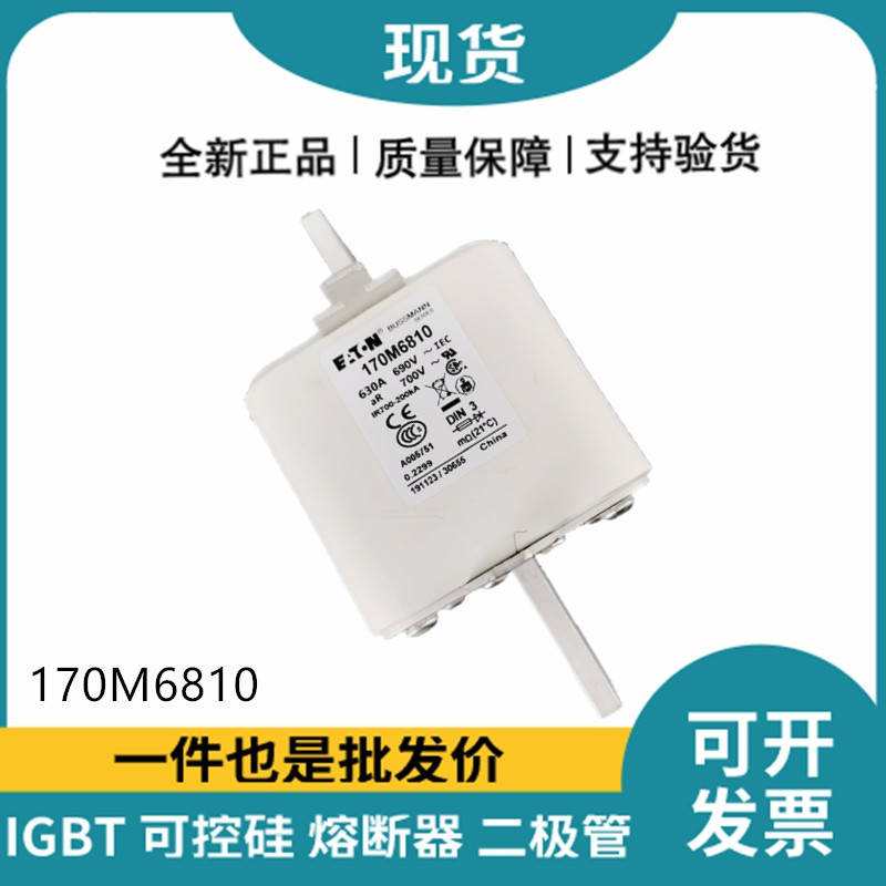 巴斯曼BUSSMANN低壓快速熔斷器 170M6810