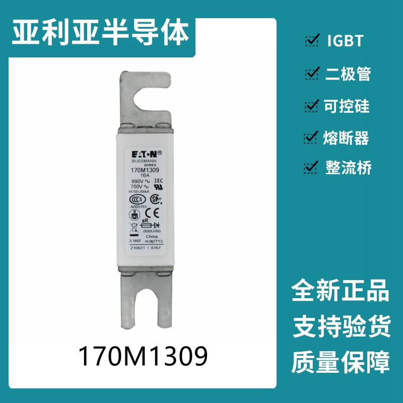 巴斯曼BUSSMANN低壓快速熔斷器 170M1309