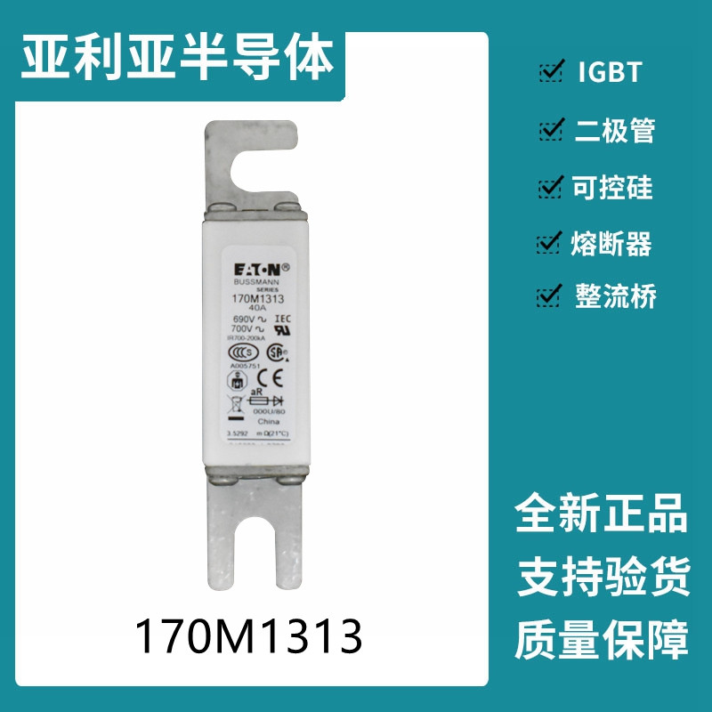 巴斯曼BUSSMANN低壓快速熔斷器  170M1313