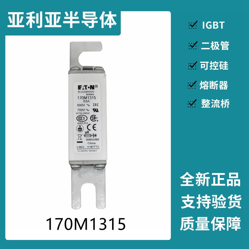 巴斯曼BUSSMANN低壓快速熔斷器 170M1315