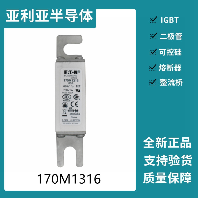 巴斯曼BUSSMANN低壓快速熔斷器 170M1316