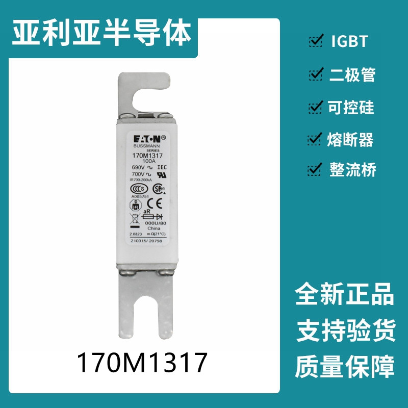 巴斯曼BUSSMANN低壓快速熔斷器 170M1317