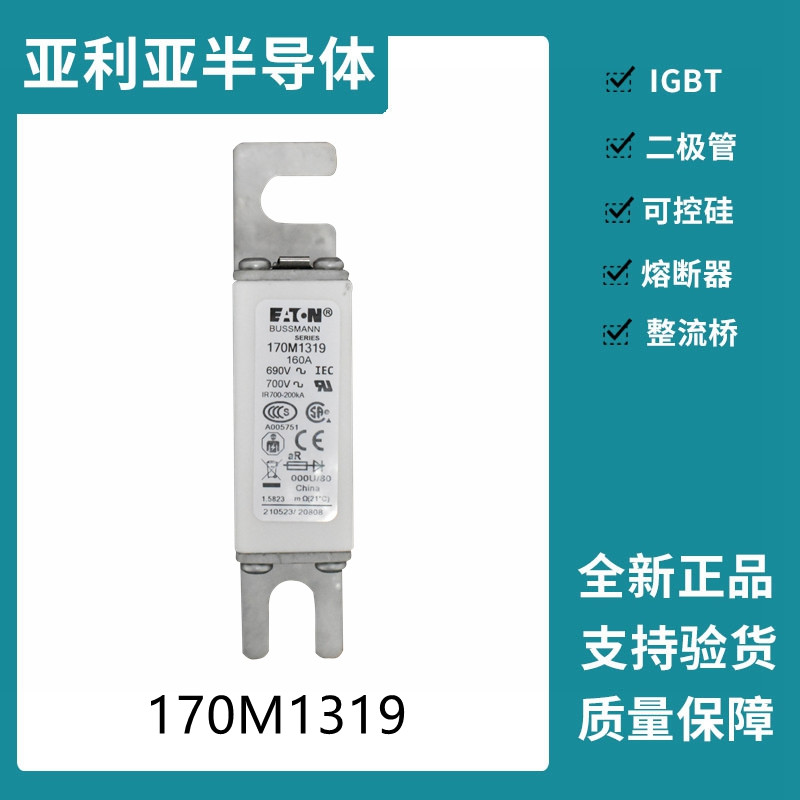 巴斯曼BUSSMANN低壓快速熔斷器 170M1319