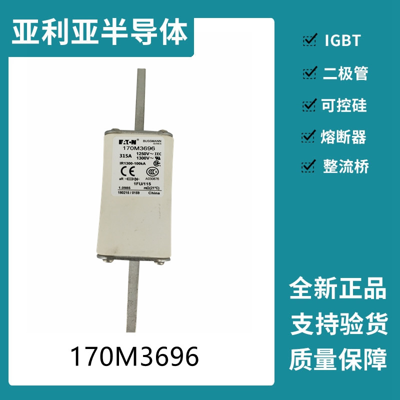 巴斯曼BUSSMANN低壓快速熔斷器 170M3696