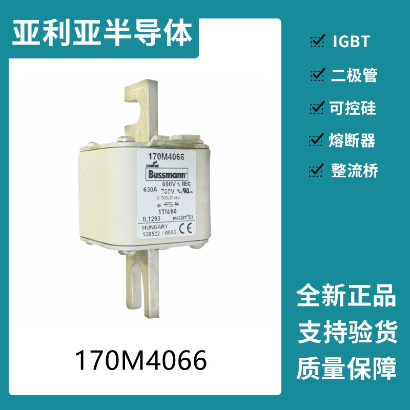 巴斯曼BUSSMANN低壓快速熔斷器 170M4066