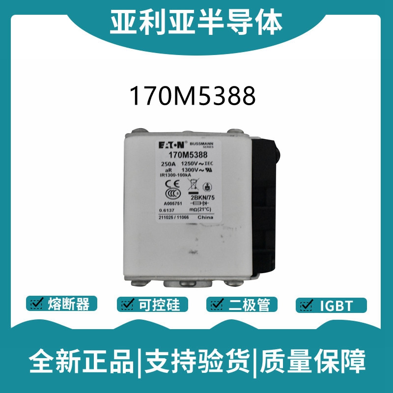 巴斯曼BUSSMANN低壓快速熔斷器 170M5388