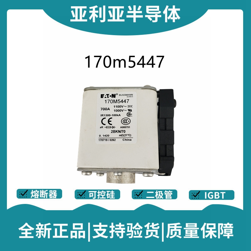 巴斯曼BUSSMANN低壓快速熔斷器 170M5447