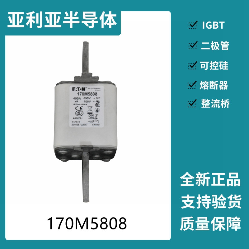 巴斯曼BUSSMANN低壓快速熔斷器 170M5808